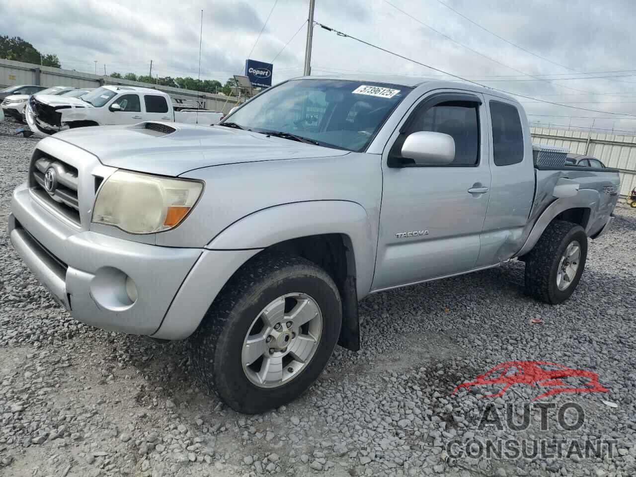 TOYOTA TACOMA 2009 - 5TETU62N29Z670868