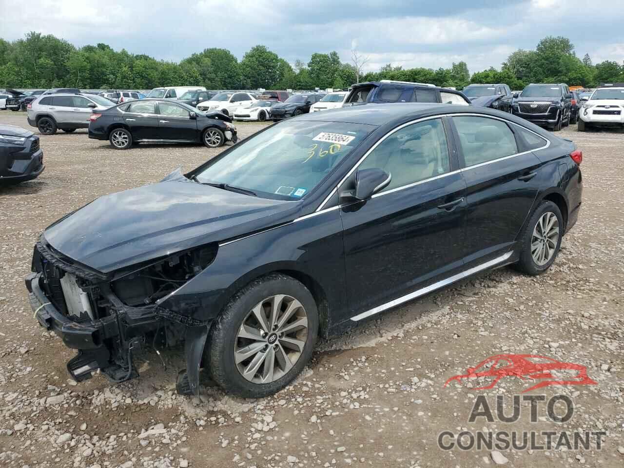 HYUNDAI SONATA 2016 - 5NPE34AF7GH421394