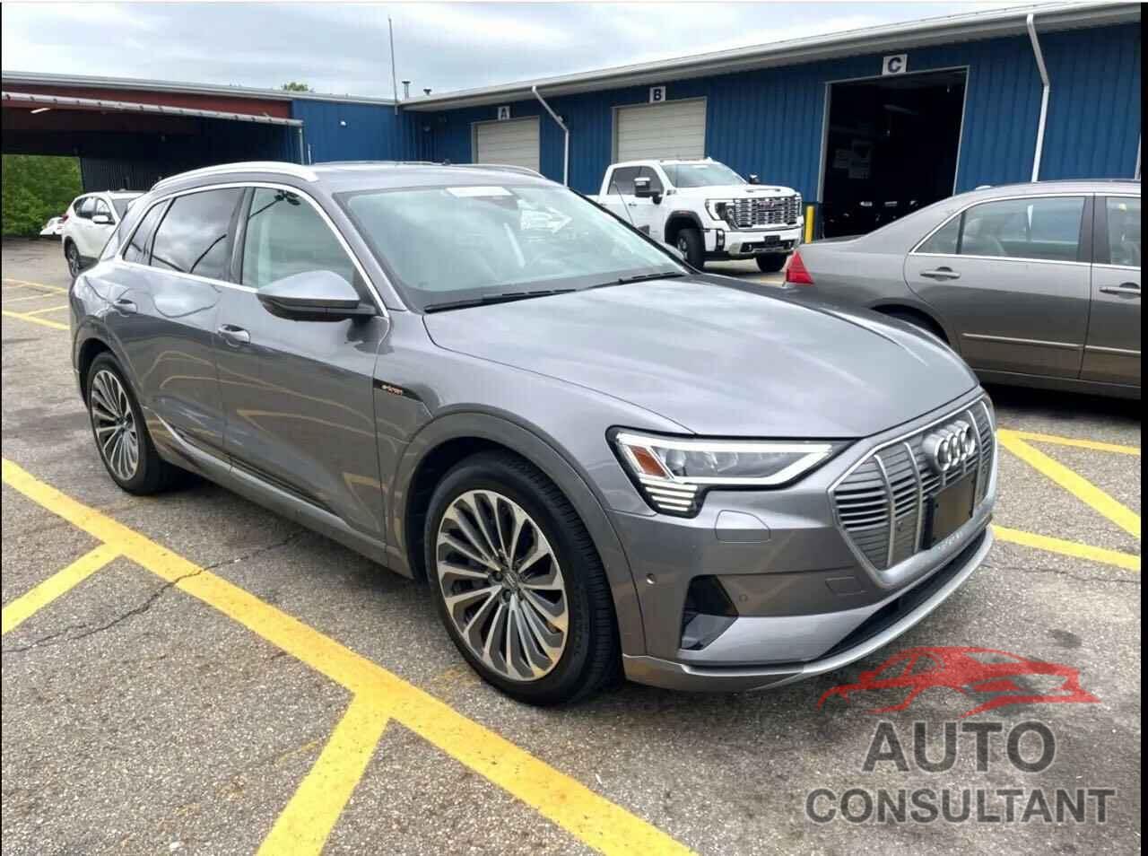 AUDI E-TRON 2019 - WA1VABGE0KB011XXX