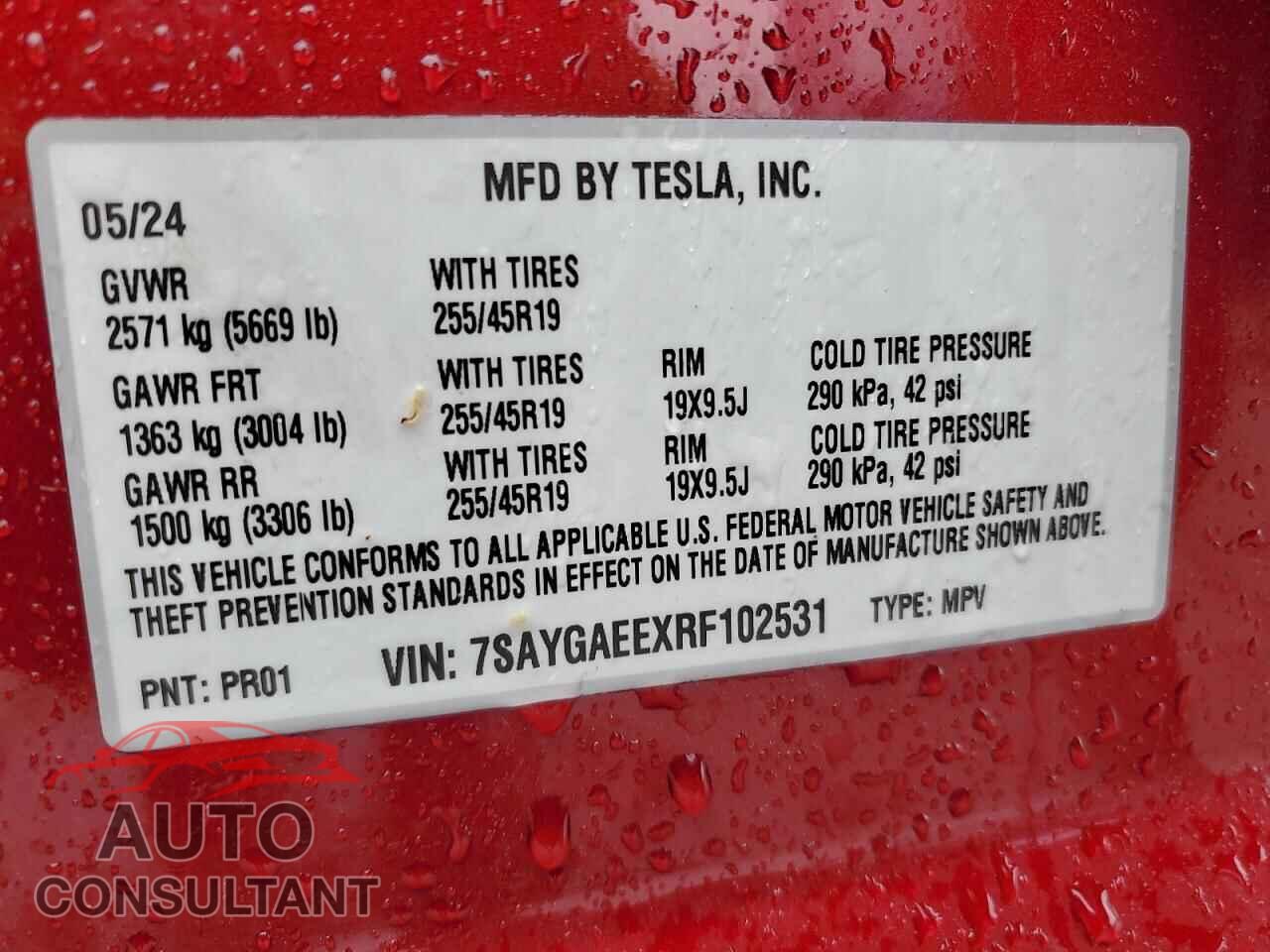 TESLA MODEL Y 2024 - 7SAYGAEEXRF102531