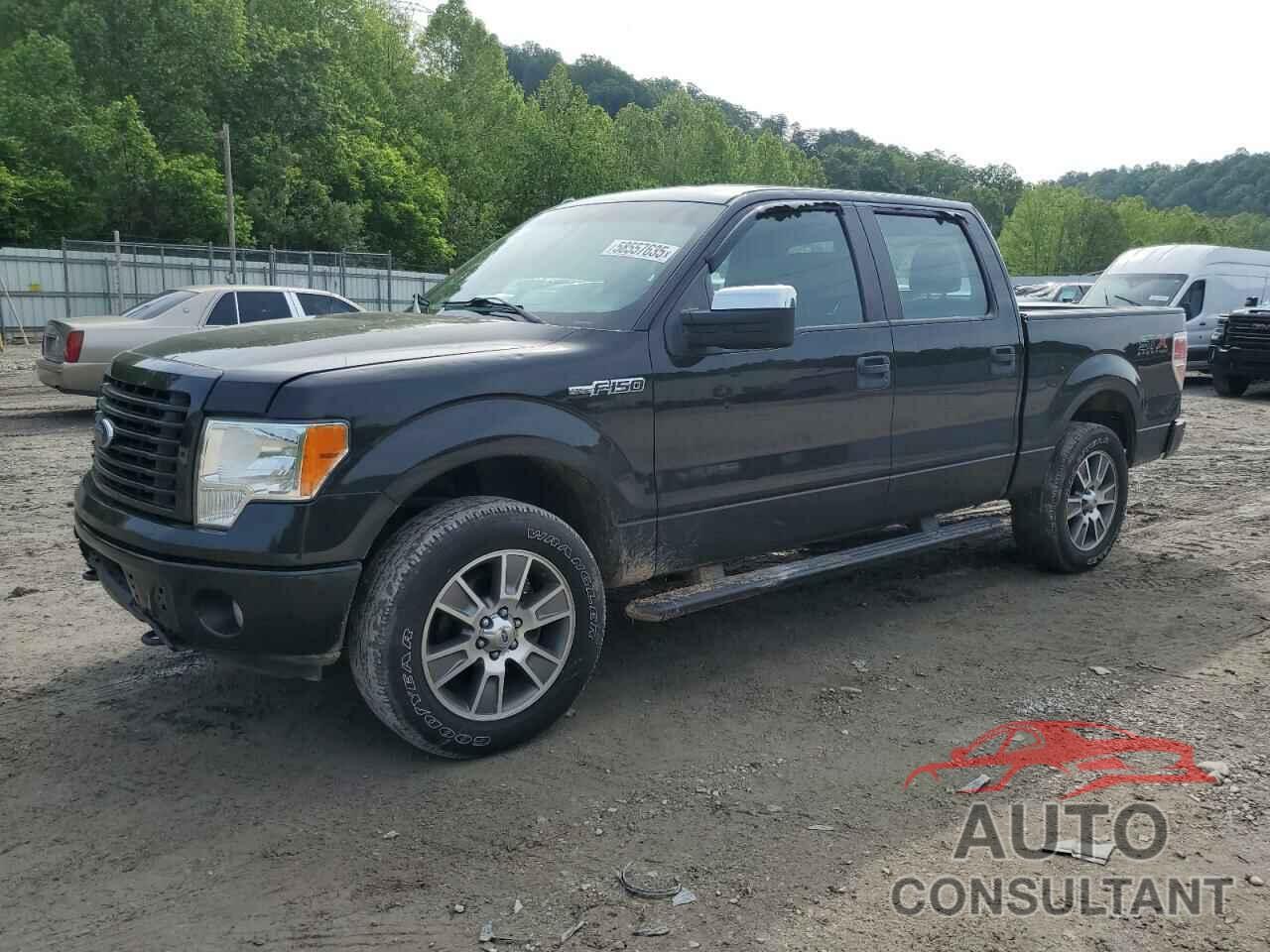 FORD F-150 2014 - 1FTFW1EF4EFB23865