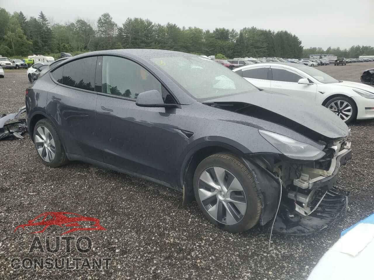TESLA MODEL Y 2023 - LRWYGDFD2PC162377
