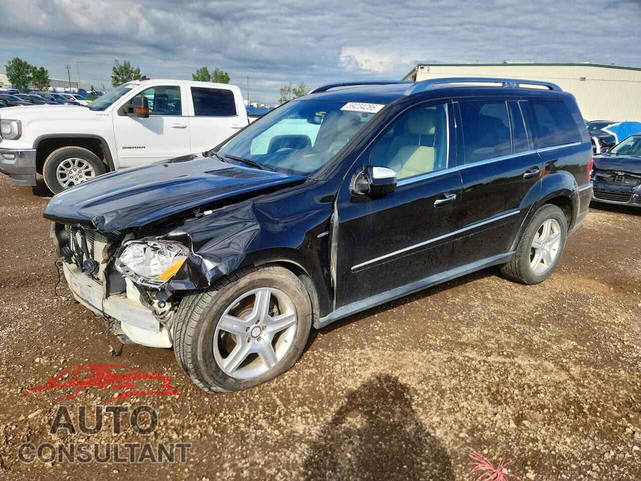 MERCEDES-BENZ GL-CLASS 2010 - 4JGBF2FE9AA623730