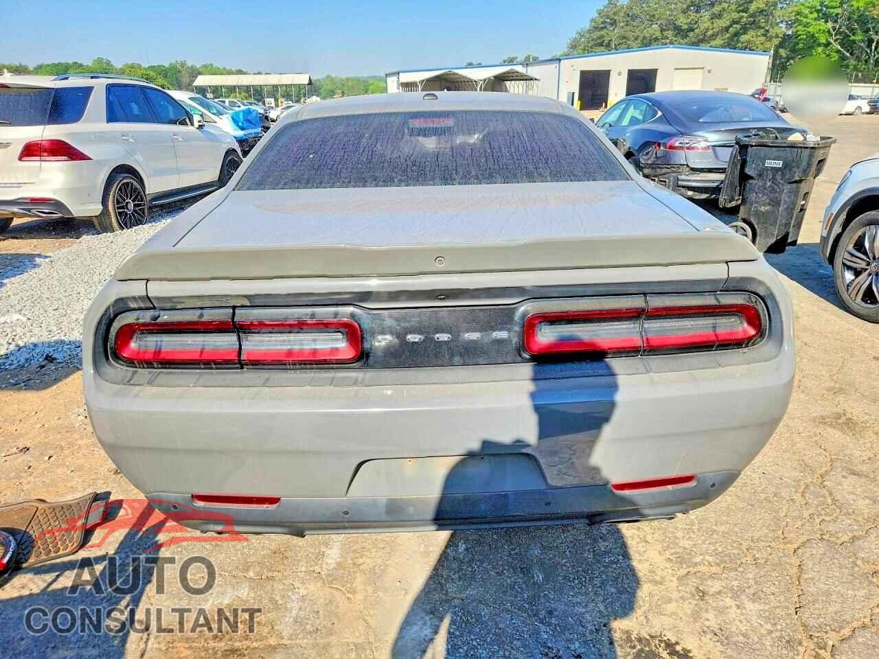 DODGE CHALLENGER 2019 - 2C3CDZBTXKH529973
