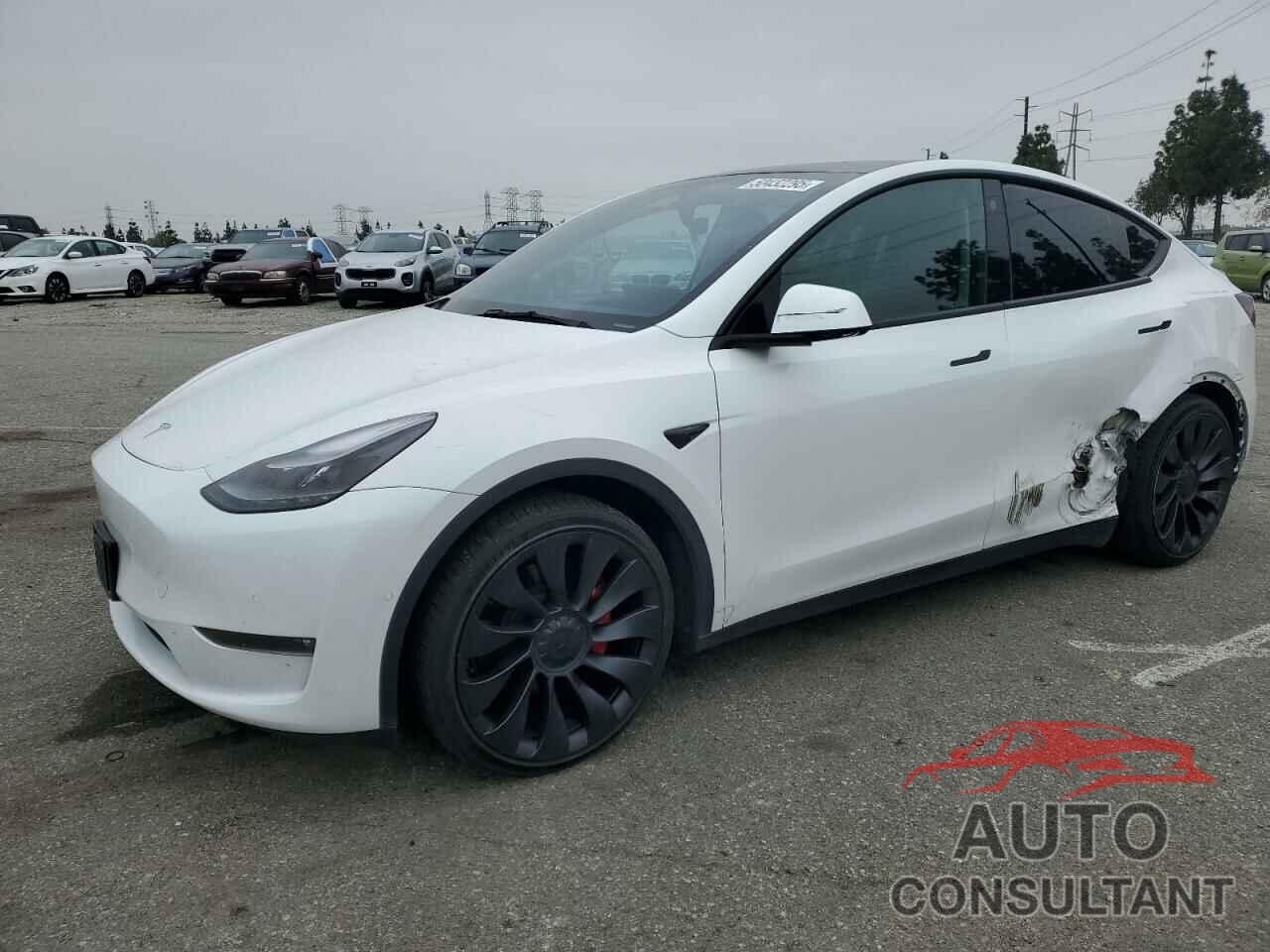 TESLA MODEL Y 2022 - 7SAYGDEF5NF567688
