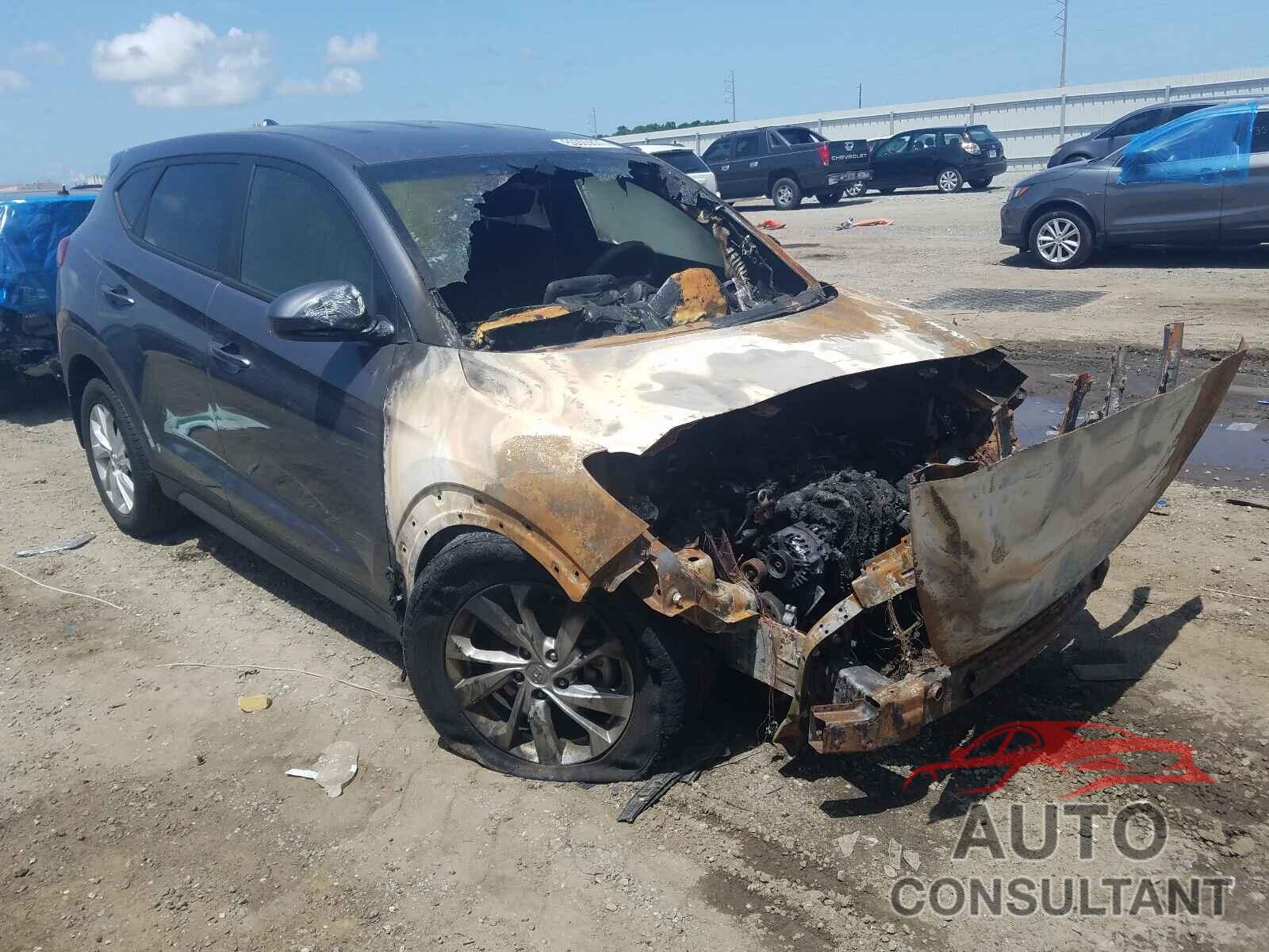 HYUNDAI TUCSON 2019 - KM8J23A44KU065331