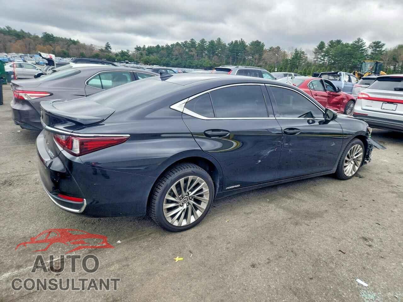 LEXUS ES300 2021 - 58AEA1C16MU001380