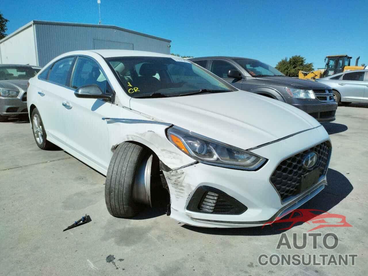 HYUNDAI SONATA 2019 - 5NPE34AF8KH743440
