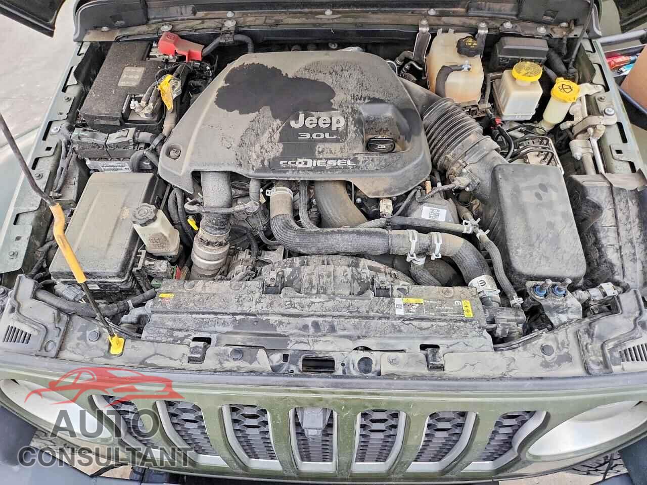 JEEP GLADIATOR 2021 - 1C6JJTFM3ML569563