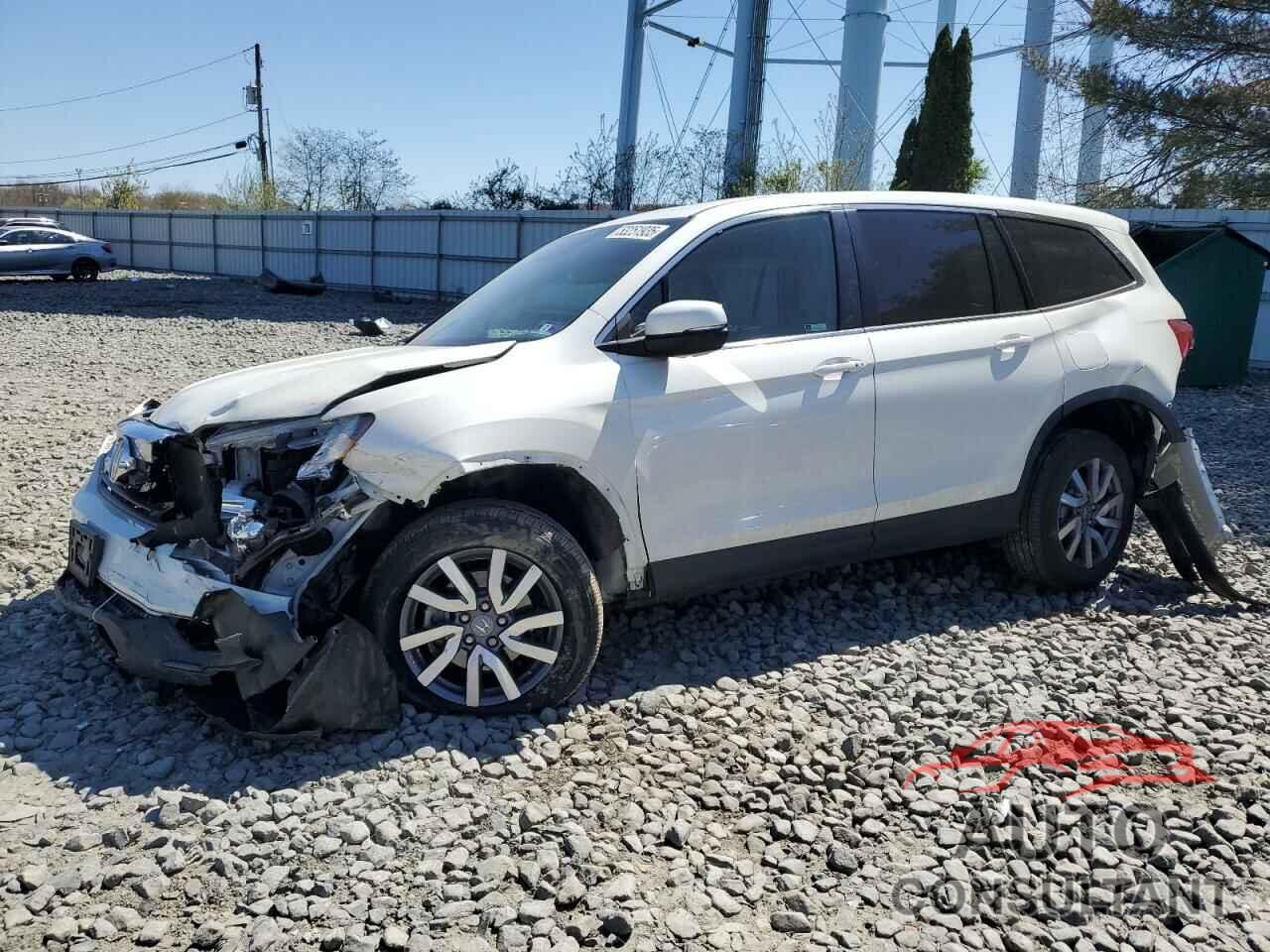 HONDA PILOT 2019 - 5FNYF6H59KB052817