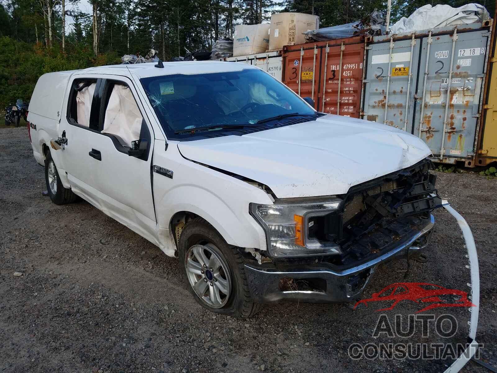 FORD F-150 2019 - 1FTEW1EP7KKF05072