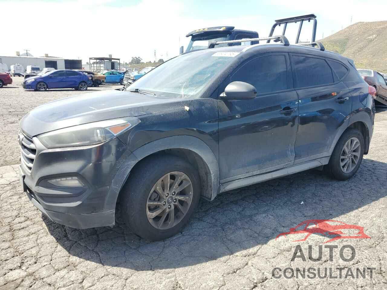 HYUNDAI TUCSON 2017 - KM8J33A42HU268238