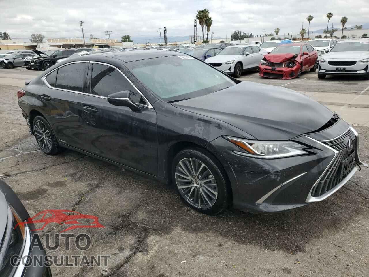 LEXUS ES300 2022 - 58ADA1C13NU019560
