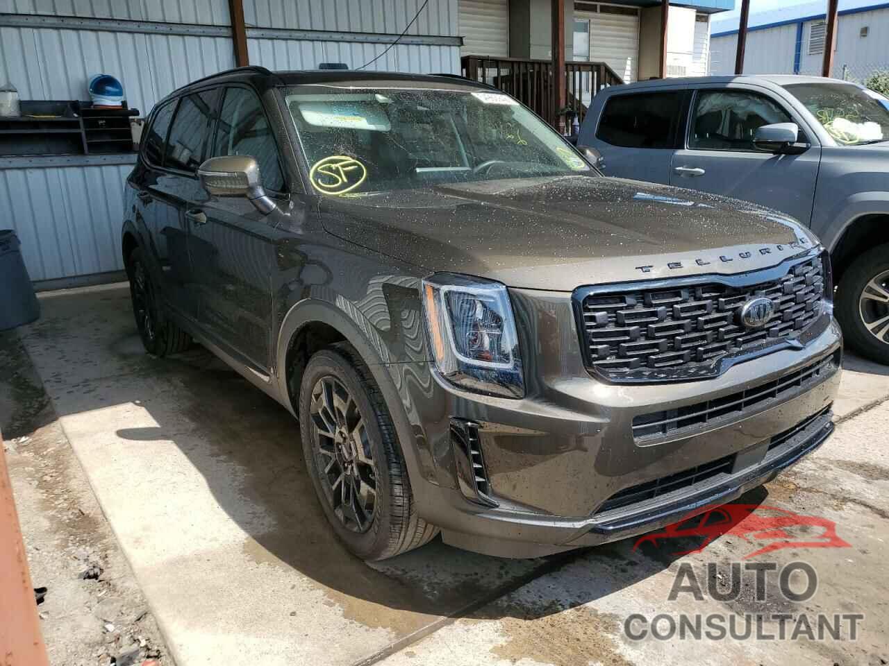 KIA TELLURIDE 2021 - 5XYP3DHC0MG182097