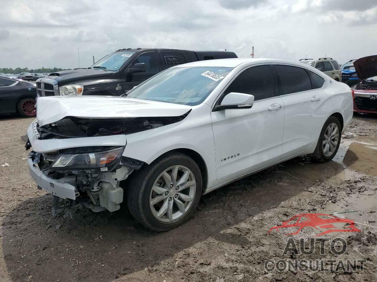 CHEVROLET IMPALA 2019 - 1G11Z5SA8KU117410