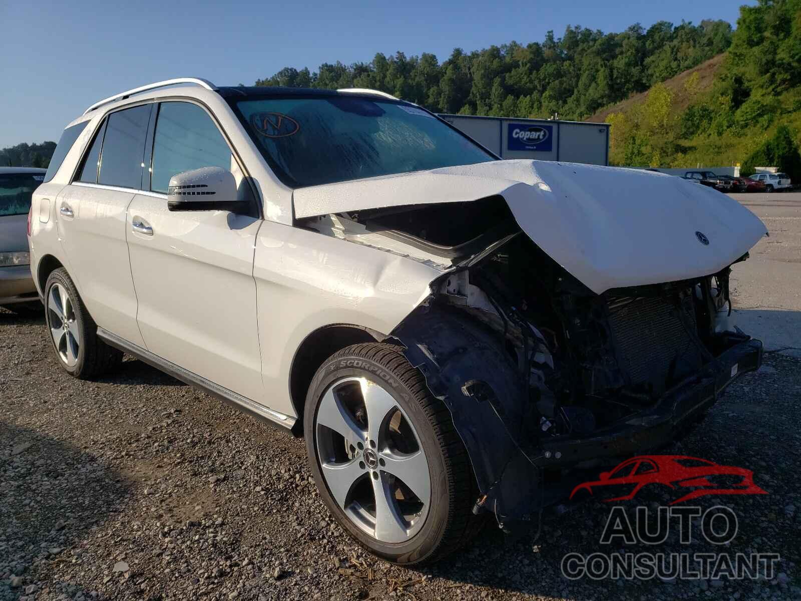 MERCEDES-BENZ GLE-CLASS 2018 - 4JGDA5HB2JB099987