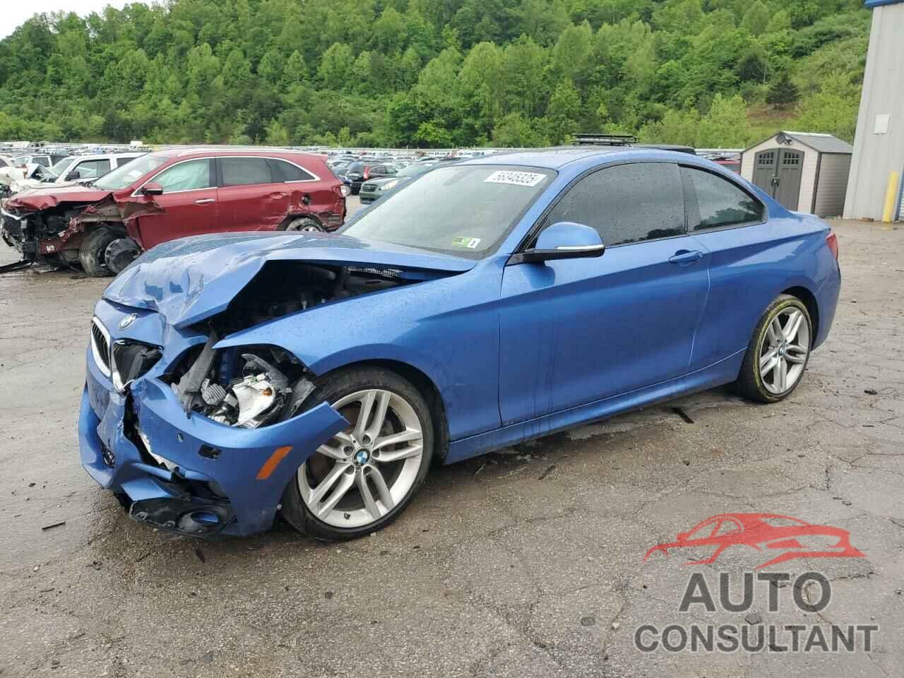BMW 2 SERIES 2017 - WBA2H9C33H7A25909
