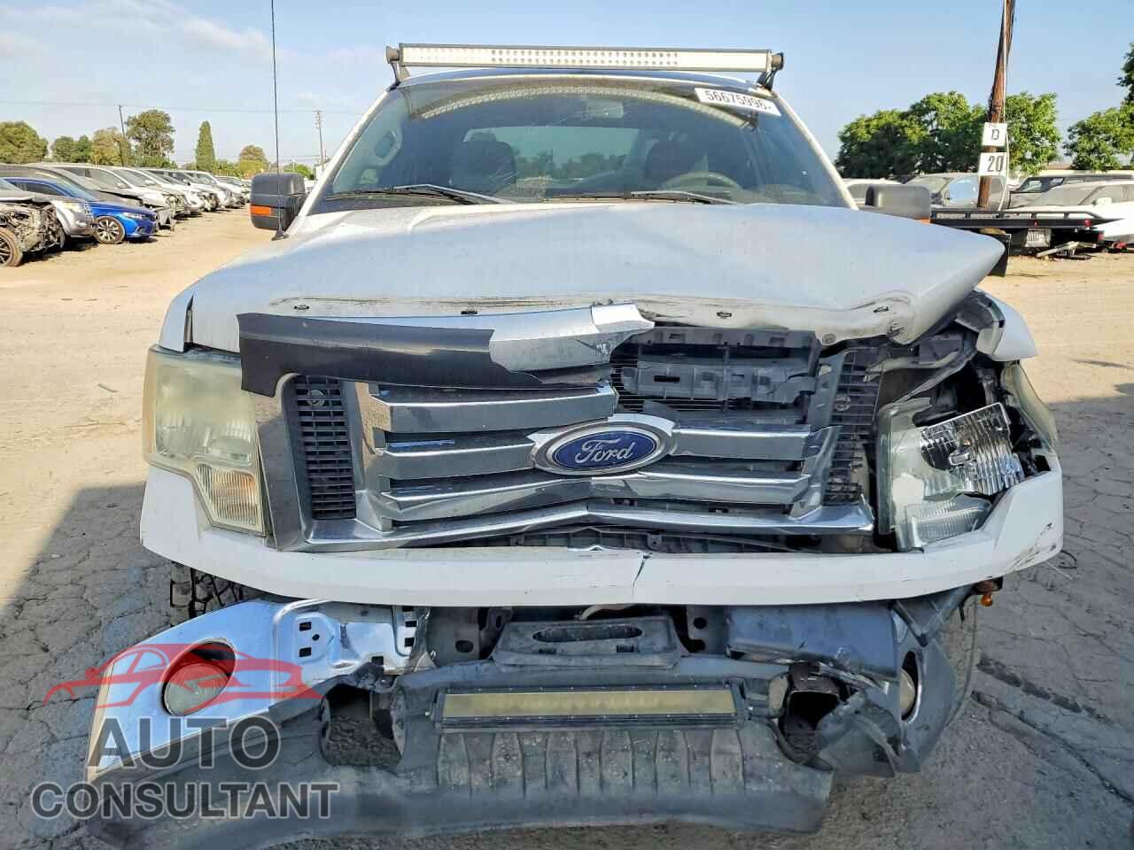 FORD F150 2010 - 1FTFX1EV9AFA48854