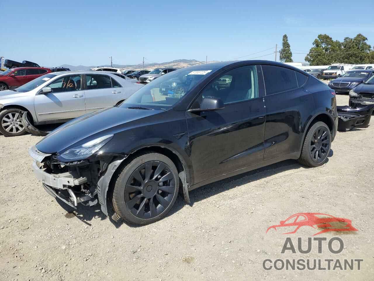 TESLA MODEL Y 2022 - 7SAYGDEE9NF462899