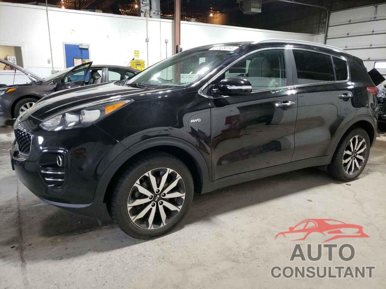 KIA SPORTAGE 2017 - KNDPNCAC3H7201064