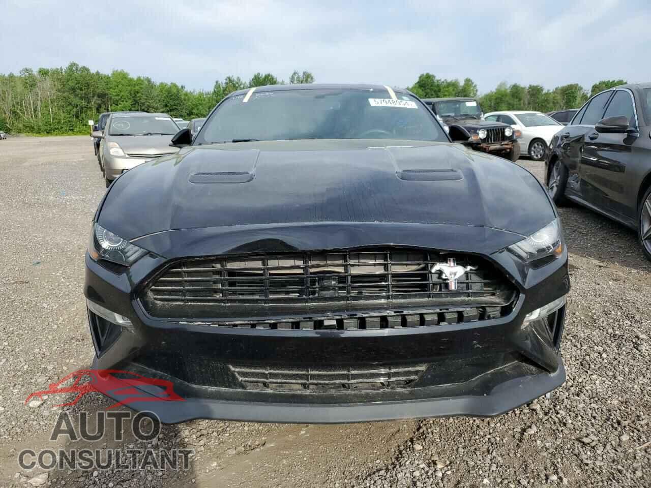 FORD MUSTANG 2019 - 1FA6P8CF2K5154936