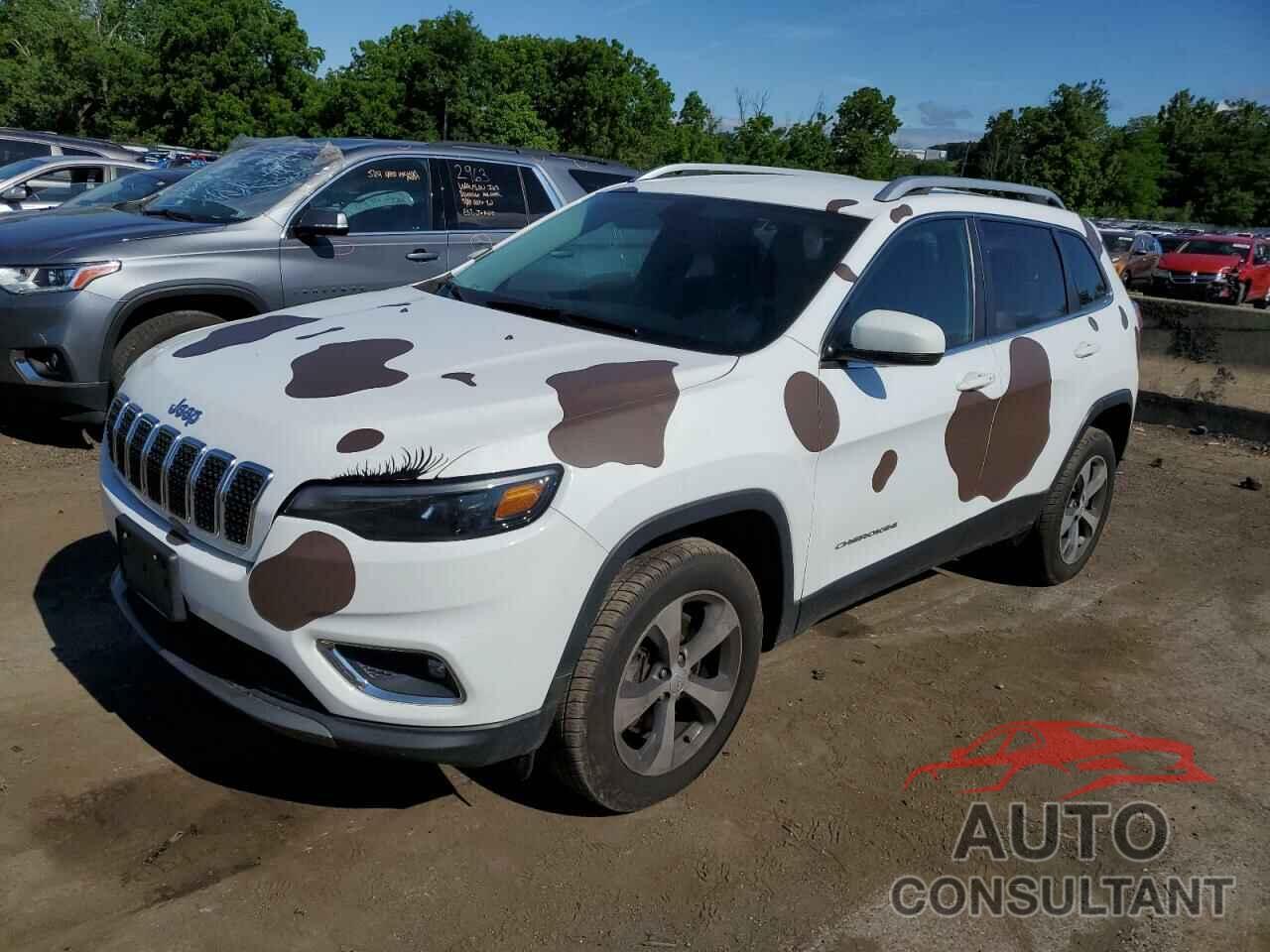 JEEP GRAND CHER 2019 - 1C4PJMDX6KD360881
