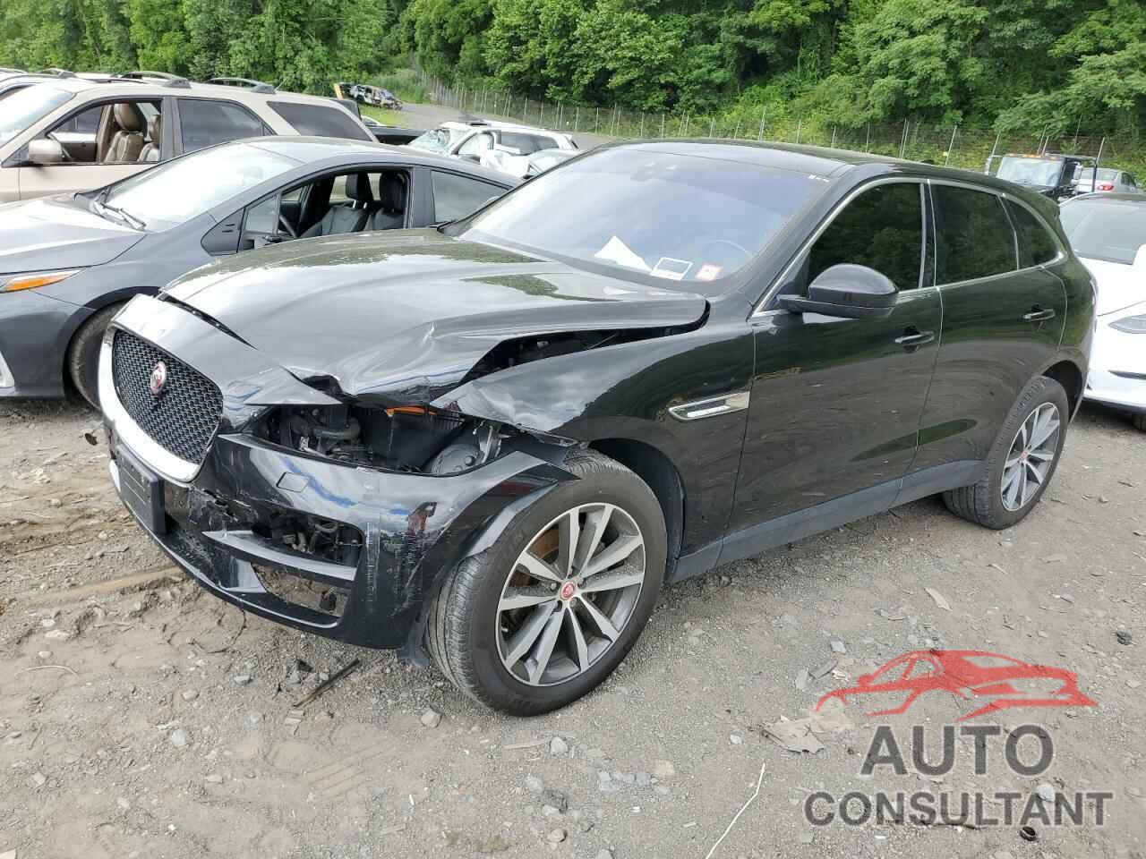JAGUAR F-PACE 2020 - SADCK2FX6LA648484