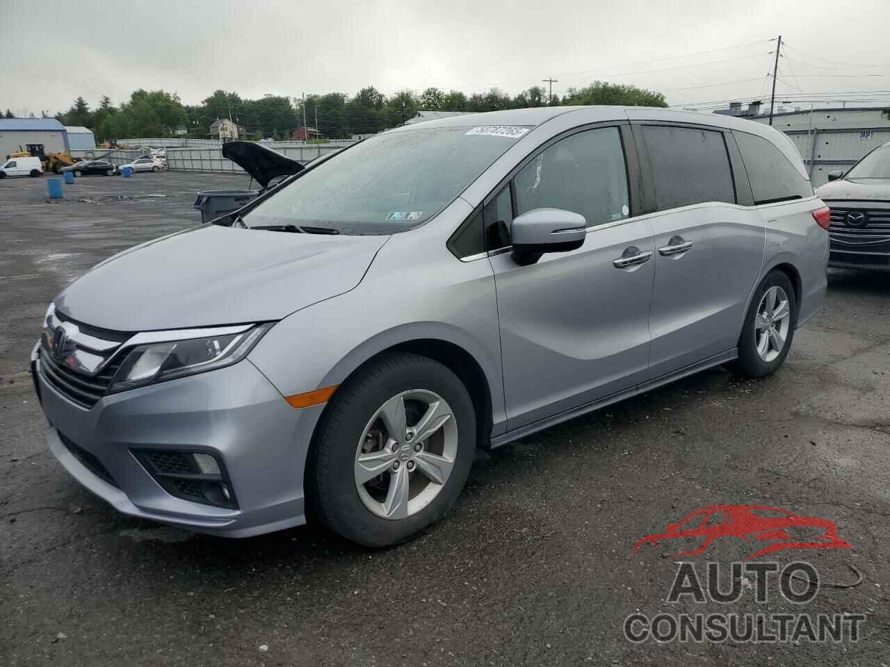HONDA All Models 2019 - 5FNRL6H59KB022682