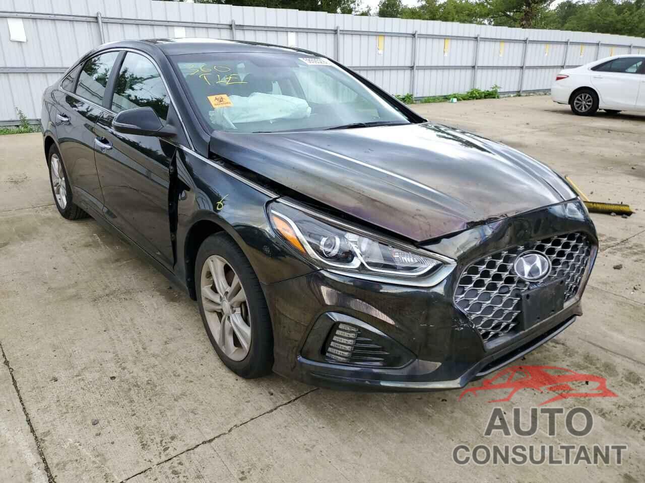 HYUNDAI SONATA 2019 - 5NPE34AF2KH789782