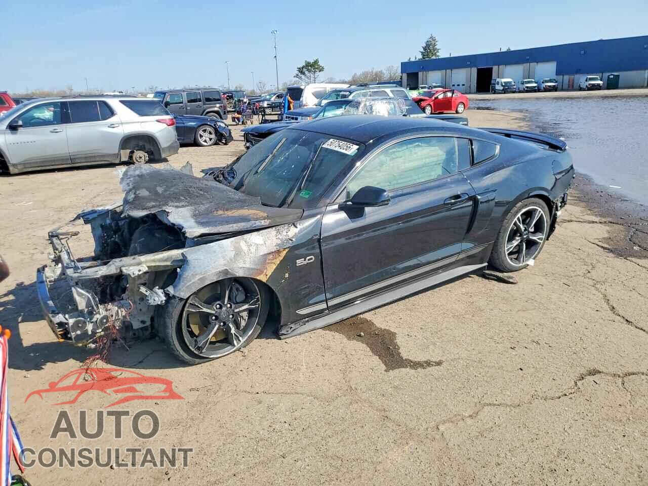 FORD MUSTANG 2016 - 1FA6P8CF7G5201496