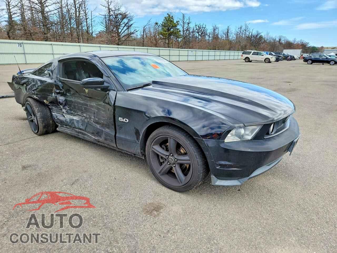 FORD MUSTANG 2011 - 1ZVBP8CF4B5163885