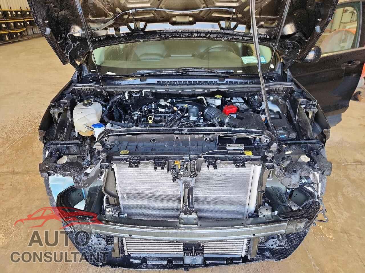 FORD EDGE 2024 - 2FMPK4J90RBA70165