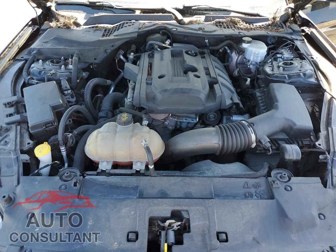FORD MUSTANG 2019 - 1FA6P8TH0K5169338