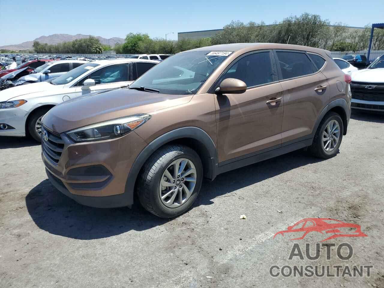 HYUNDAI TUCSON 2016 - KM8J23A46GU159248