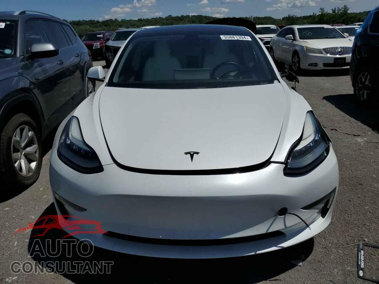 TESLA MODEL 3 2019 - 5YJ3E1EA0KF486934