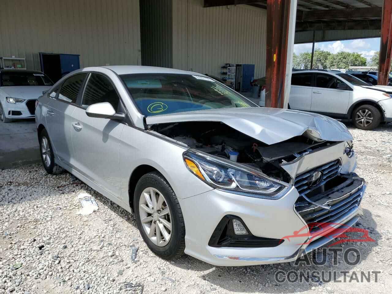 HYUNDAI SONATA 2019 - 5NPE24AF7KH766887