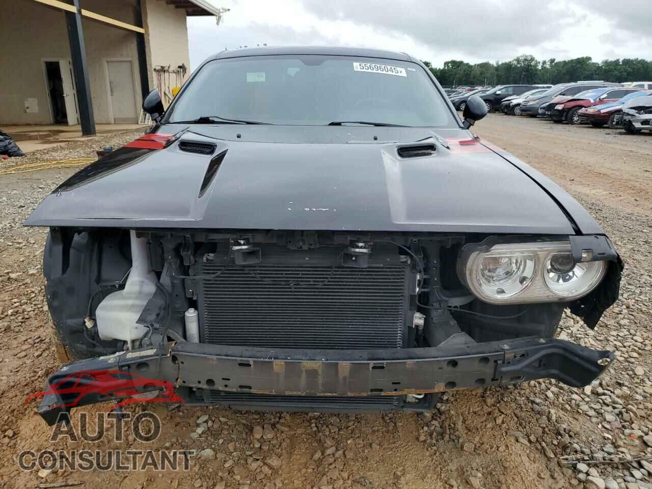 DODGE CHALLENGER 2013 - 2C3CDYBT2DH552273