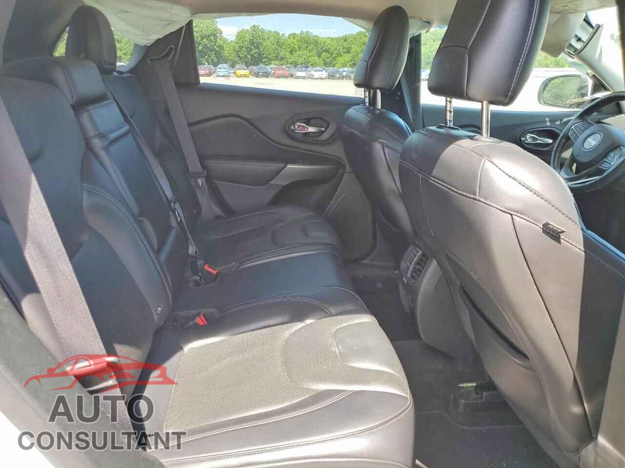 JEEP CHEROKEE 2019 - 1C4PJMDX2KD166350