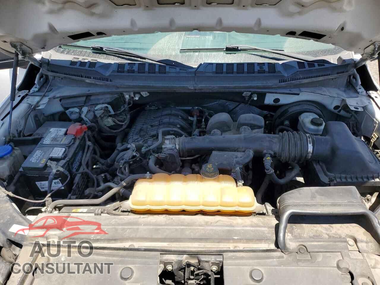 FORD F150 2019 - 1FTMF1CB1KKD33785