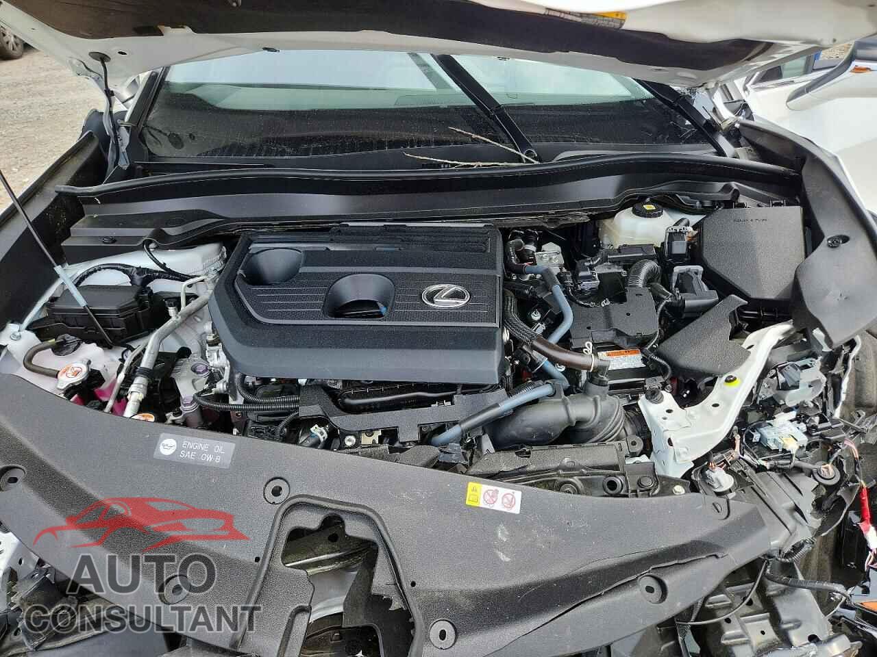 LEXUS UNKNOWN 2025 - JTHYBJAH7S2018928