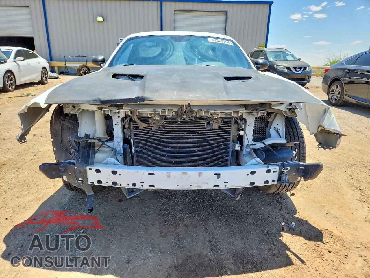 DODGE CHALLENGER 2019 - 2C3CDZAG3KH735267