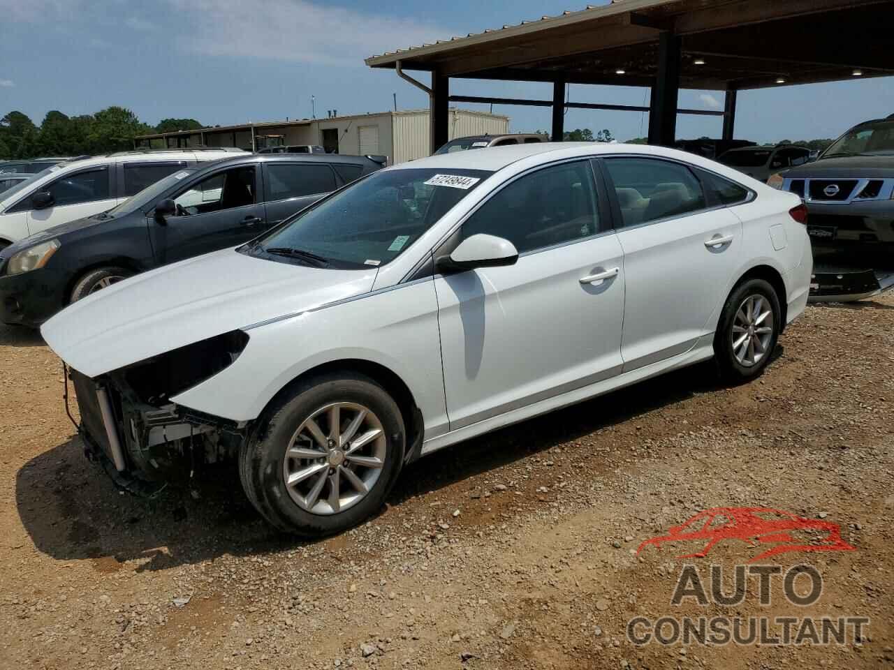 HYUNDAI SONATA 2019 - 5NPE24AF2KH808690