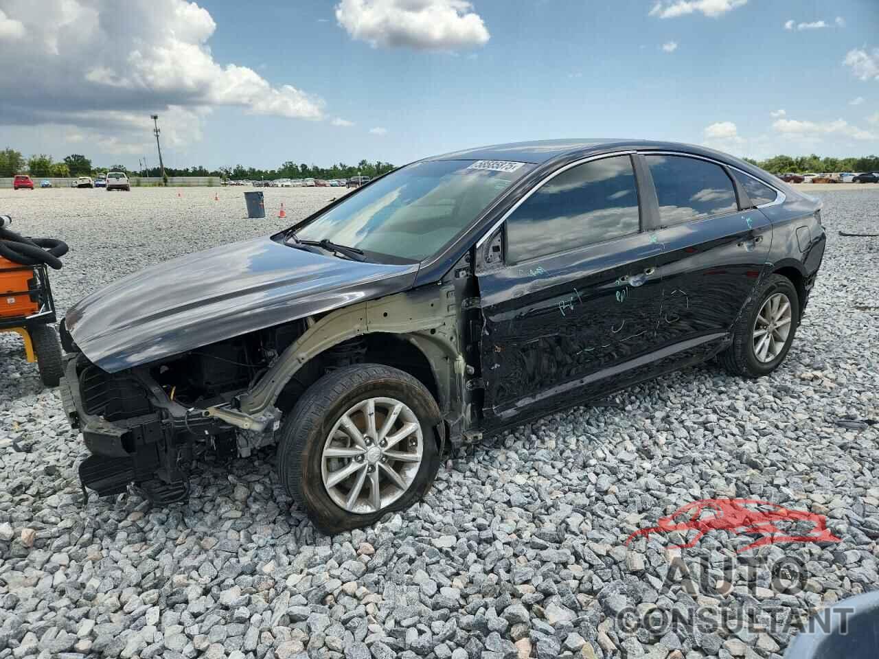 HYUNDAI SONATA 2019 - 5NPE24AF3KH781533