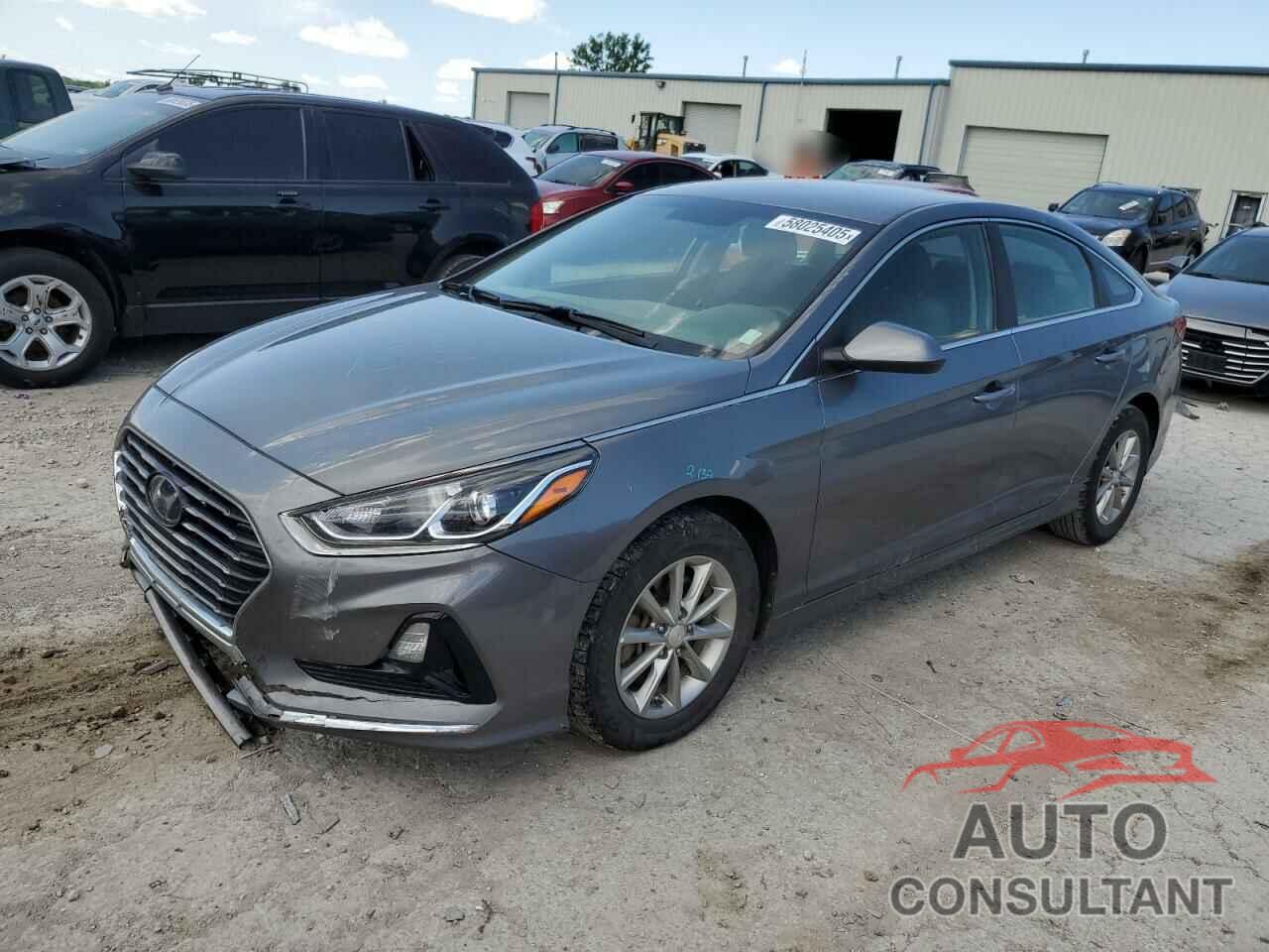 HYUNDAI SONATA 2019 - 5NPE24AF4KH789818