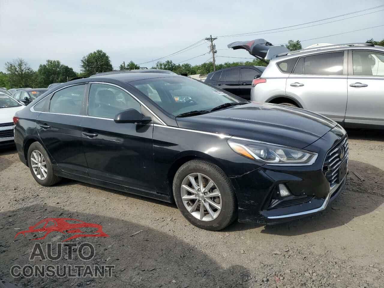 HYUNDAI SONATA 2019 - 5NPE24AF7KH779249