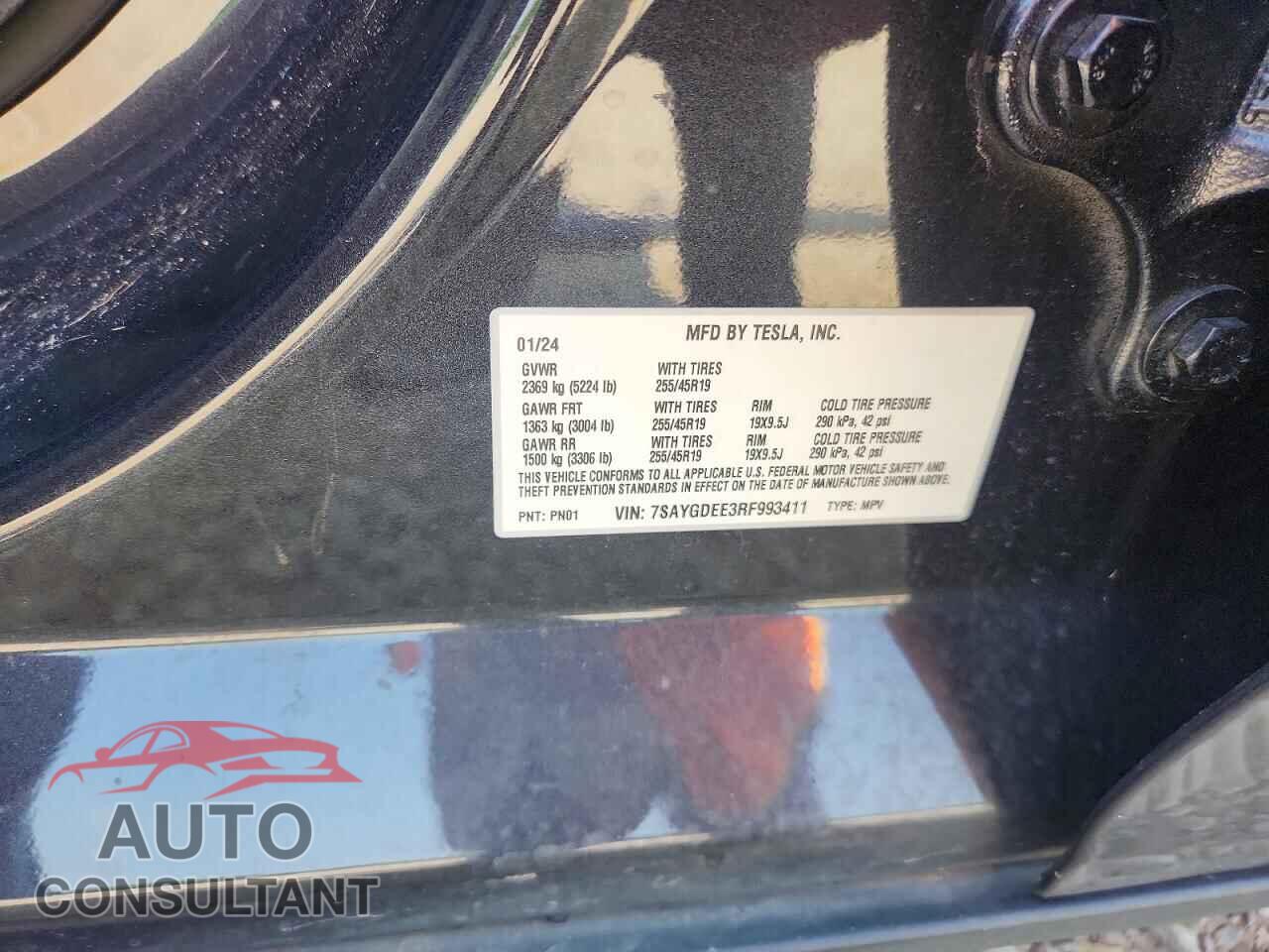 TESLA MODEL Y 2024 - 7SAYGDEE3RF993411