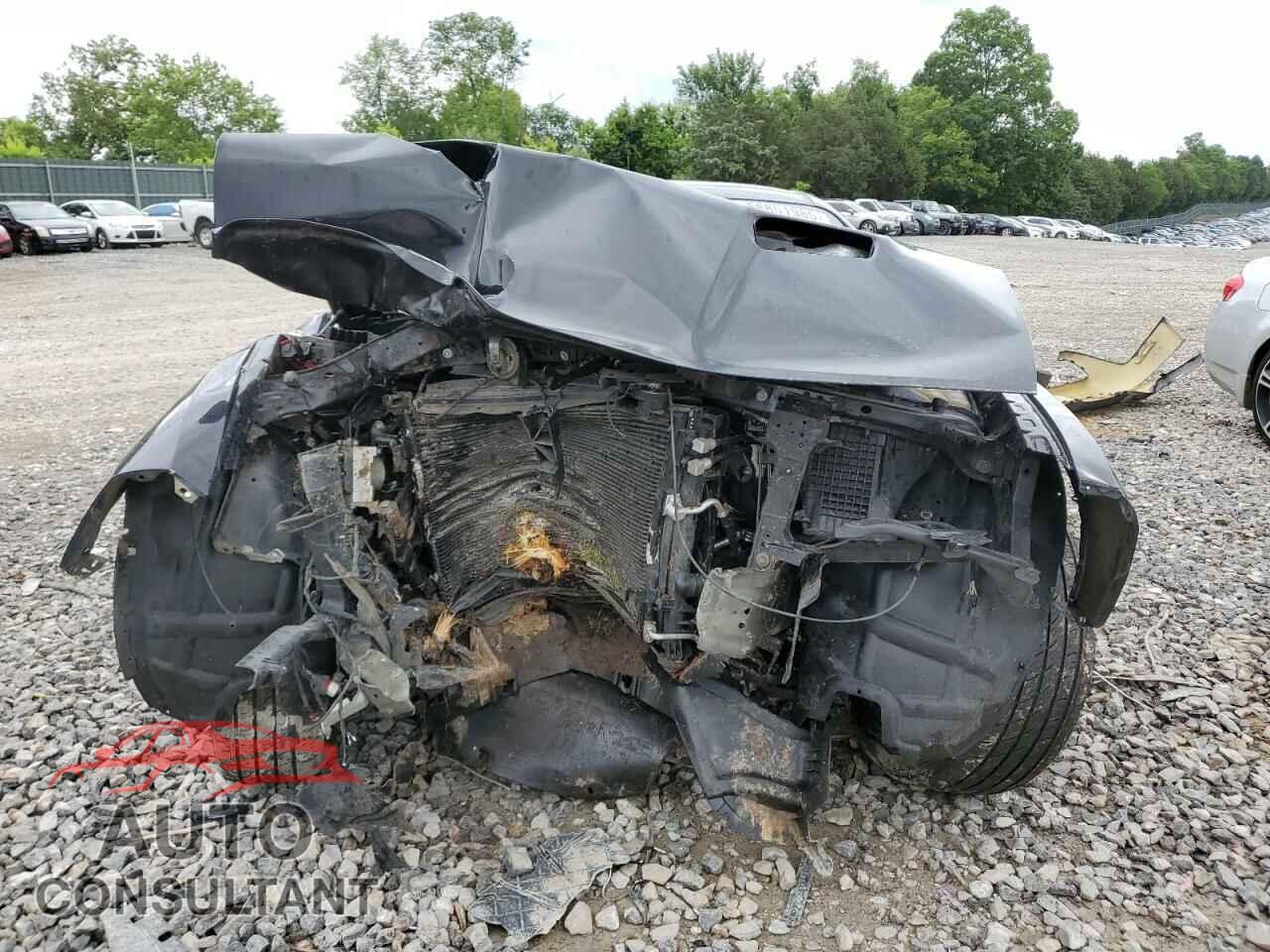 DODGE CHALLENGER 2019 - 2C3CDZGG6KH695158