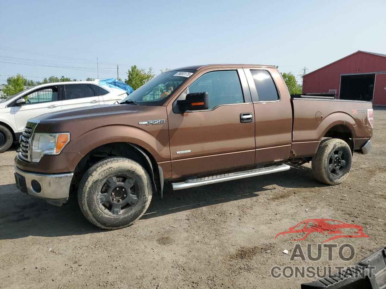 FORD F-150 2011 - 1FTFX1CT9BFC42187