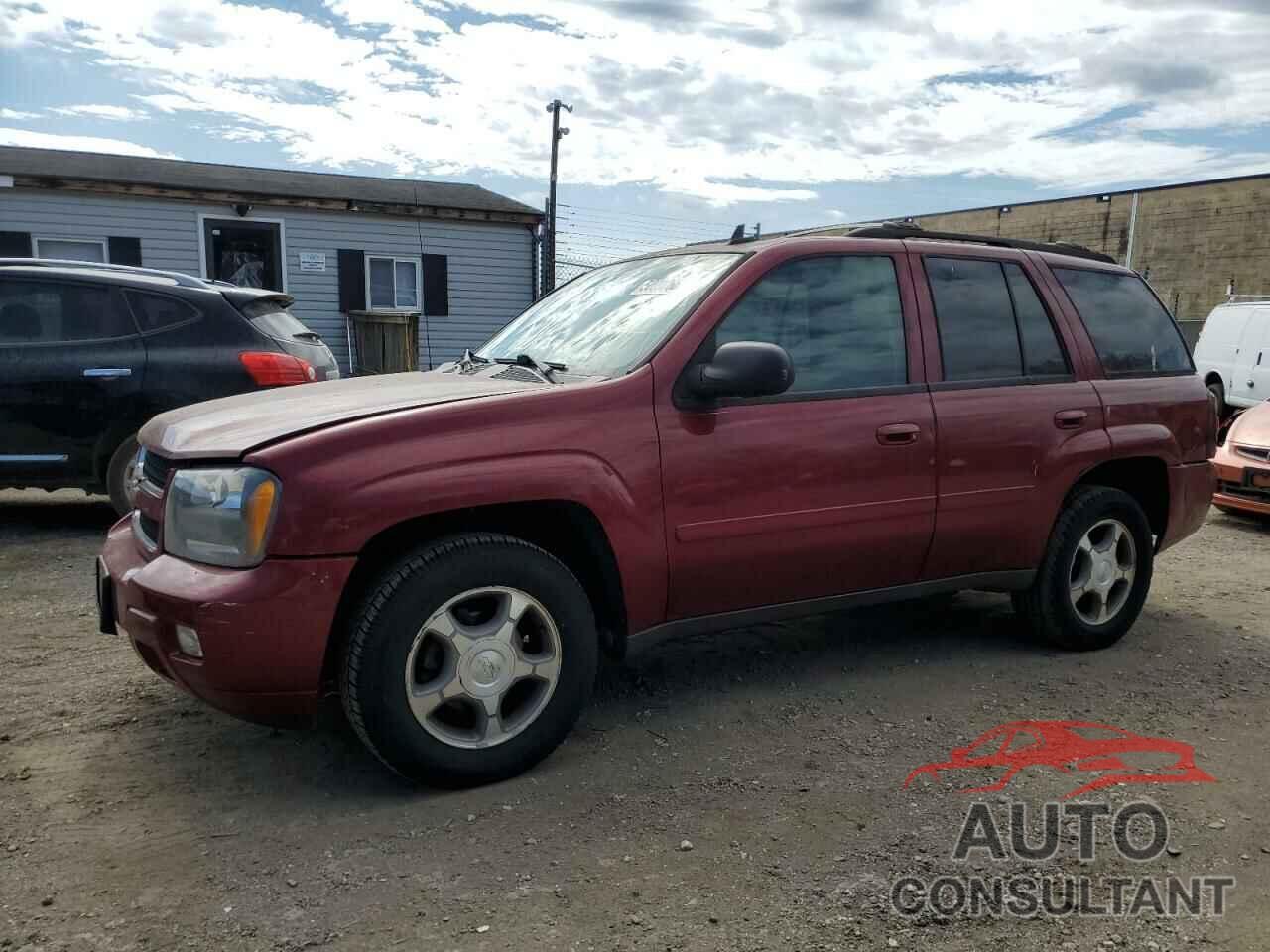 CHEVROLET TRAILBLZR 2009 - 1GNDS33S192111854