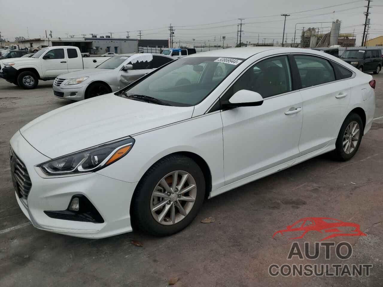 HYUNDAI SONATA 2019 - 5NPE24AF4KH760495